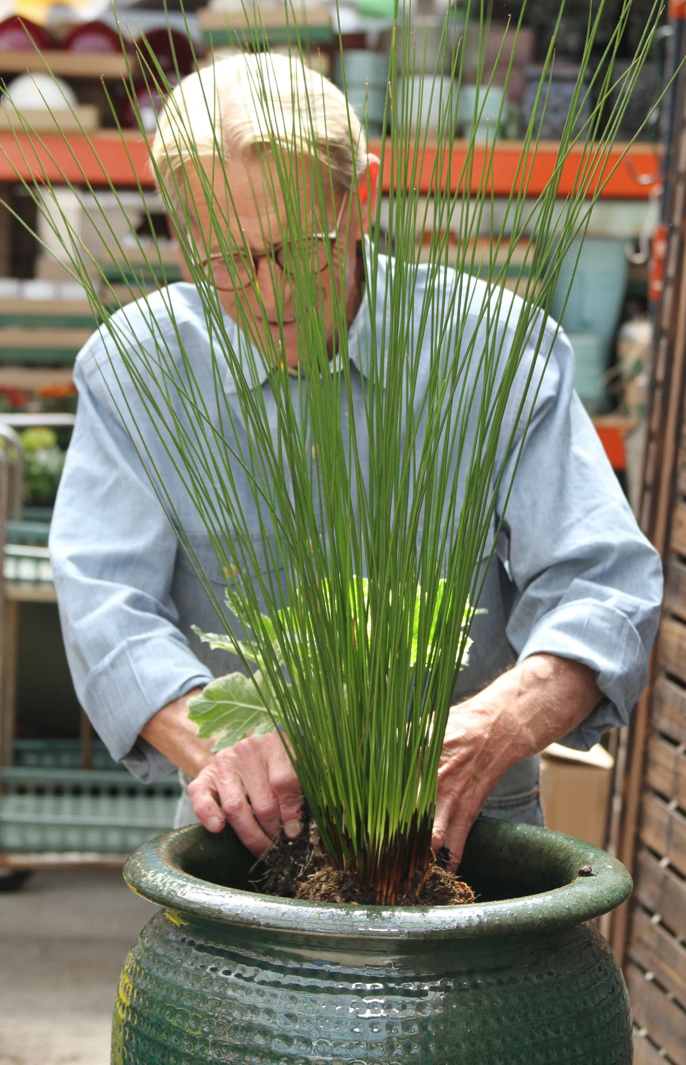 Meet Steve, Swansons' Container Designer — Seattle's Favorite